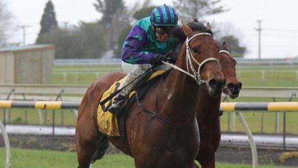 Dravitzki pair to resume at New Plymouth
