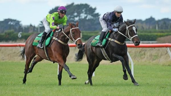 Breslin dreaming of scoring Melbourne Cup start