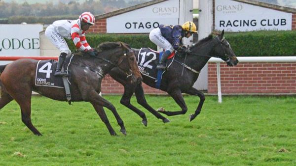Local hopes set to shine at Wingatui