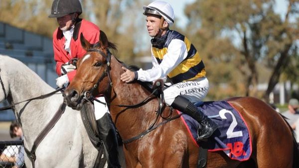 Golden opportunity with quality filly