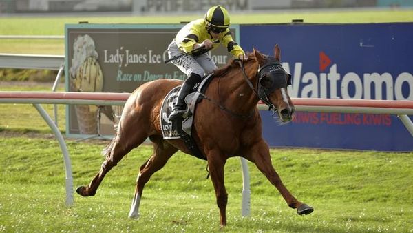 Pencarrow provides headline Rotorua act