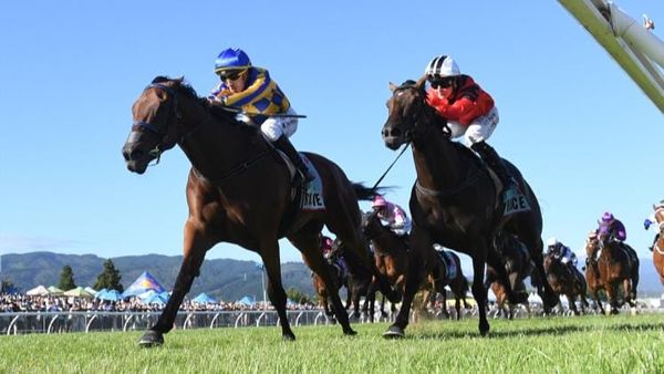 Gray makes long-awaited return to Riccarton