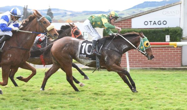 Imperative bounces back to win Wairio Cup