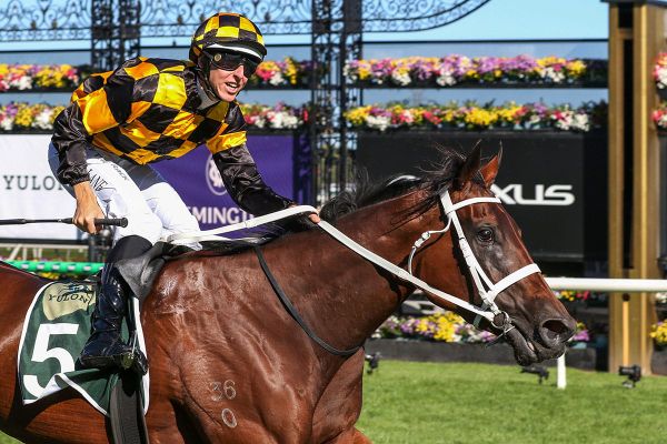 Joliestar gets green tick ahead of marathon flight
