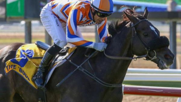 Million-dollar jumper returning home for career swansong