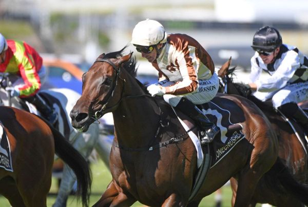 Yulong secures Legarto for $2.8 million