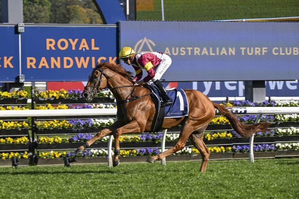 Charlton Using Scone To Get Group 1 Winner Back In Line