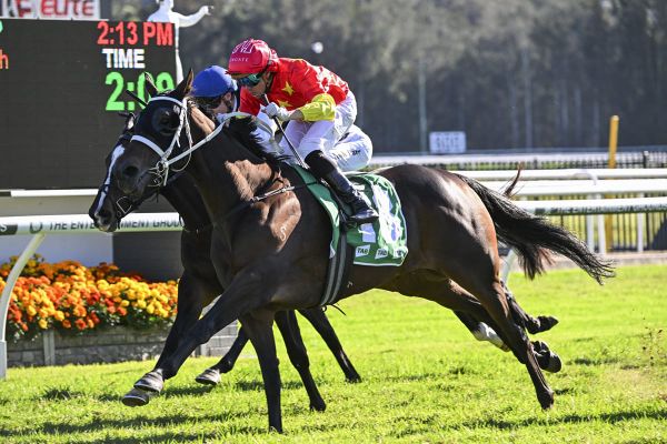 Blue-blooded Monopolistic stakes Queensland Derby claim