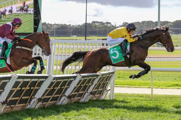 New Zealand breds win the opening races at Warrnambool