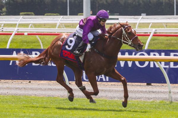 Platinum Pantheon earns Guineas shot
