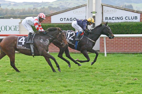 Local hopes set to shine at Wingatui