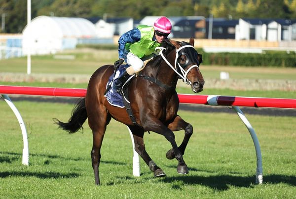 Riverplate too tough in Rangitikei Gold Cup