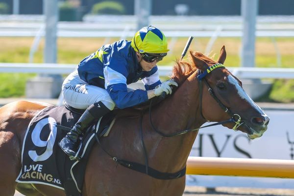 Riviera Rebel on song for Wairio Cup