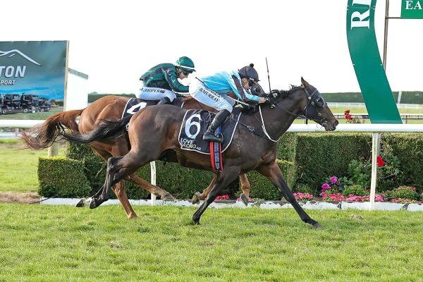 Connections hoping for further success with Rochello