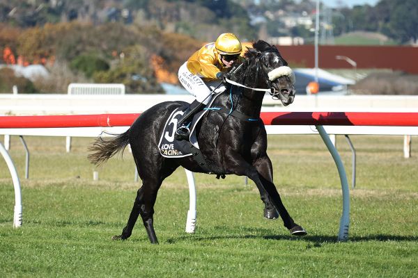 Shameless Star goes back-to-back at Wanganui