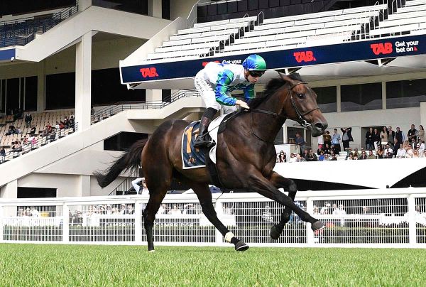 Wellwood seeking to double Queensland Derby tally