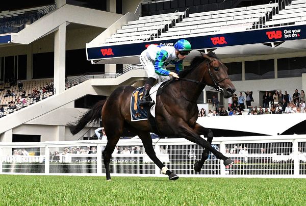 Solid Gold to make Australian debut