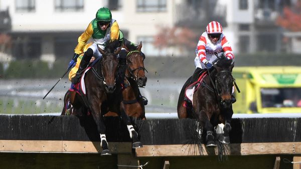 Squire on track for Waikato Hurdle