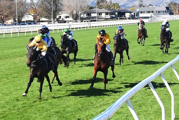 Racing returns to Hastings
