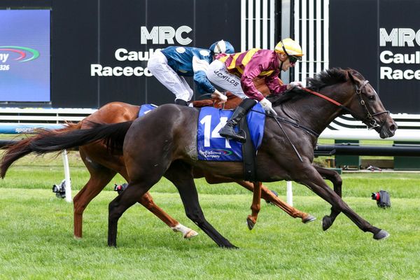 She’s A Hustler to Doomben Cup
