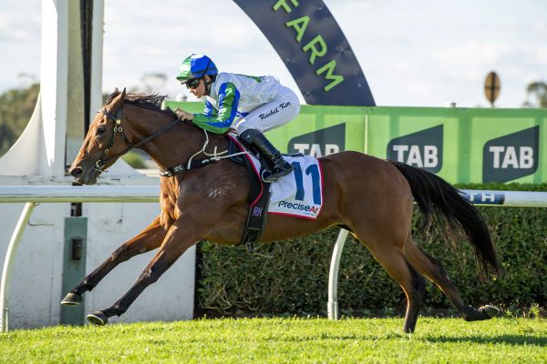 Blueblood mare goes back to back