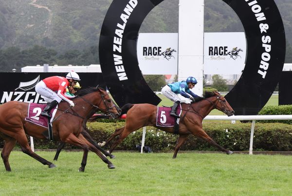 The Scunner chasing change in fortune