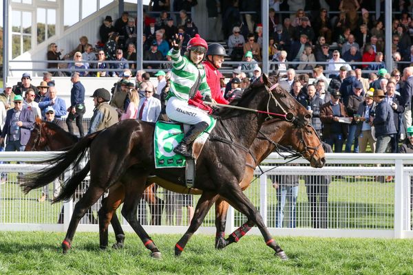 New Zealand-bred The Storyteller wins at the 'Bool.