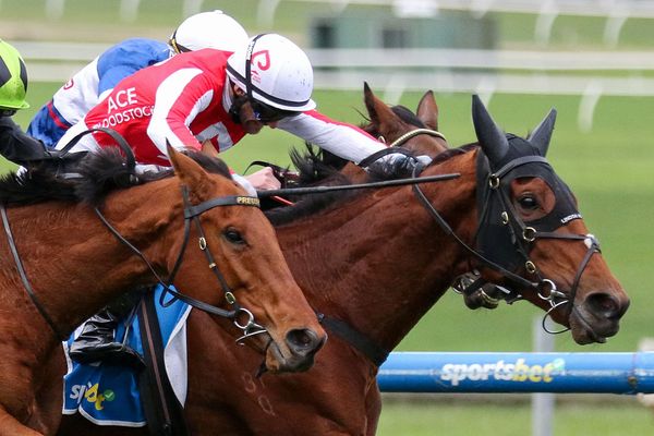 The Western Front digs in to win Sandown Cup