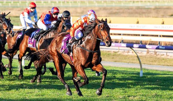 Western Empire wins second Belmont Sprint