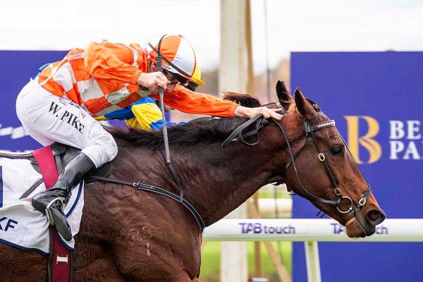 Western Empire too tough in home straight stoush