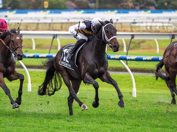 Stokes lands SA Derby with recent Kiwi addition