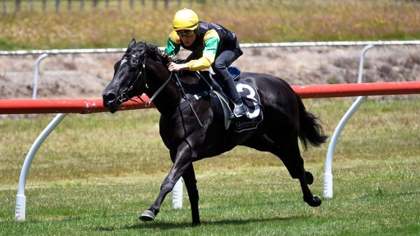 Trans-Tasman weekend for Forsman