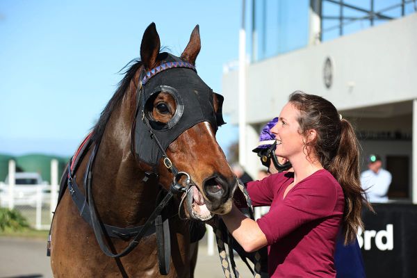 Former Hong Kong galloper to make jumping debut