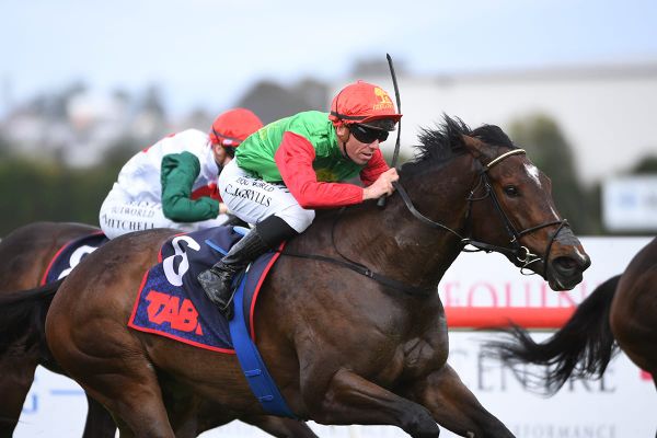 Smart mare progressing well toward stakes goal