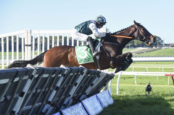 Jackson stars again on home soil