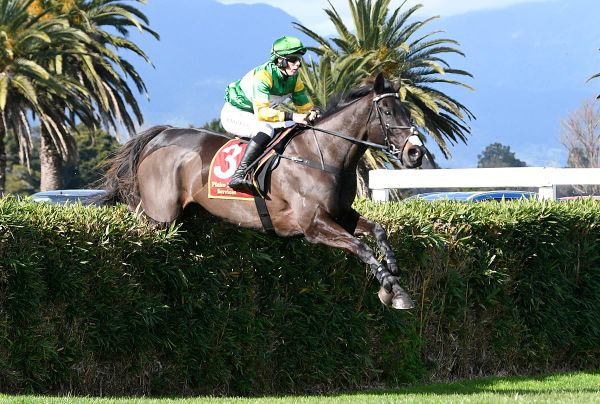 Billy Boy seeking to defend Trentham crowns
