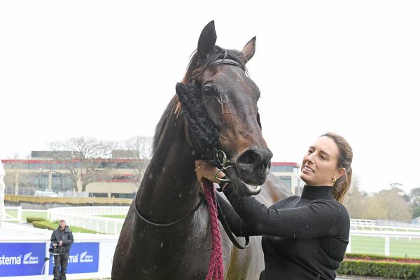 Smart filly heading toward local stakes target