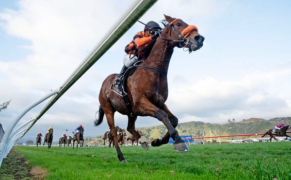 Bradman in form ahead of Winter Cup swansong