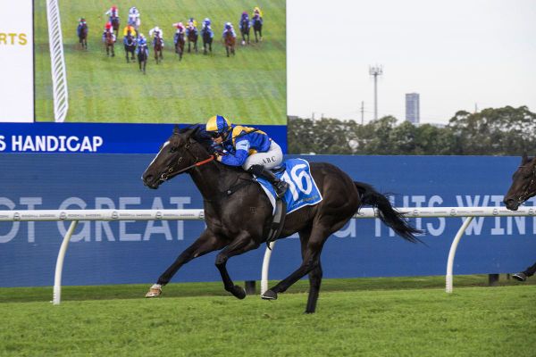 Big Papa heads Baker’s Kiwi-bred quinella at Rosehill