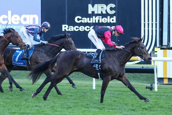 Back-to-back wins for Coeur Volante