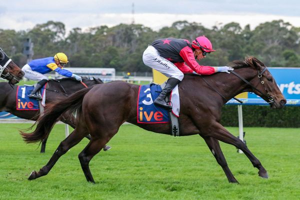 Coeur Volante provides winning return for new owners