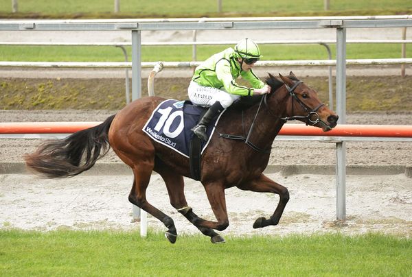 Novara filly makes perfect start to career