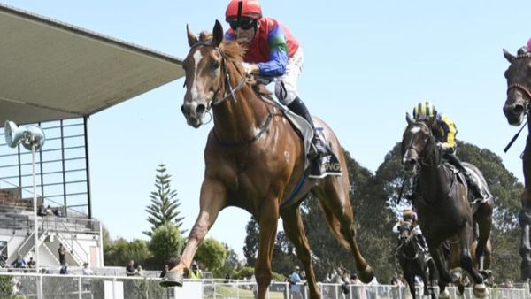 Tuhikaramea barn hold strong hand at Cambridge