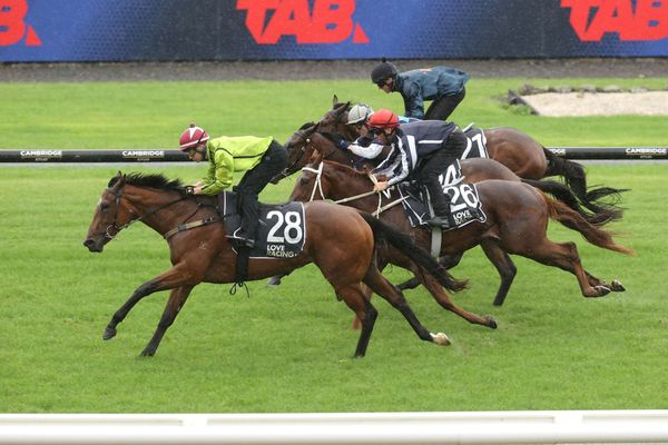 Talented Kiwi to make Australian debut on Wednesday