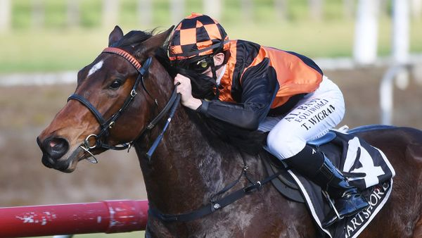 Flying filly dominates her Tauranga opposition