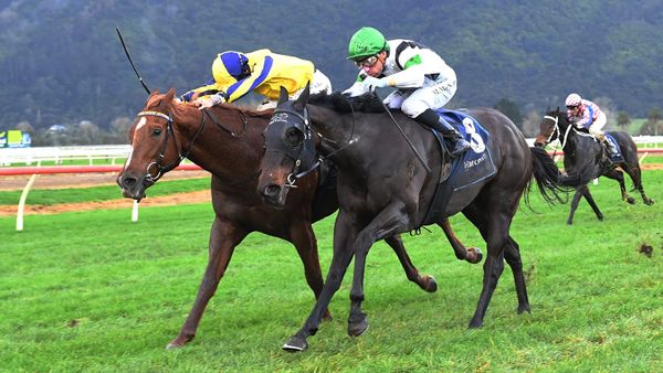 Grande Gallo’s victory doubly pleasing for Wexford Stables