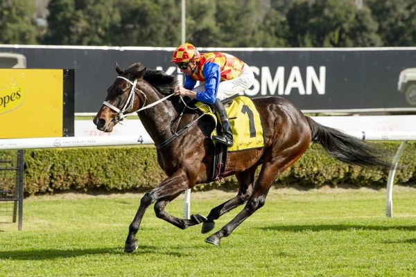 Hello Youmzain 3YO notches another Sydney triumph