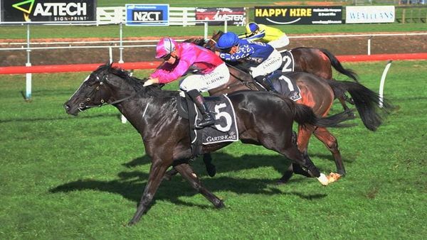Quondo goes back-to-back at Tauranga