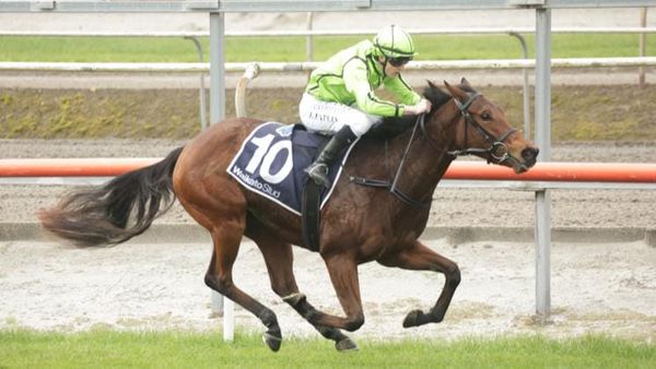 Novara filly makes perfect start to career