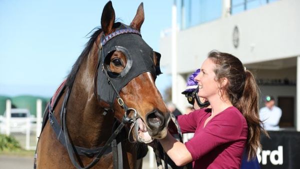 Former Hong Kong galloper to make jumping debut